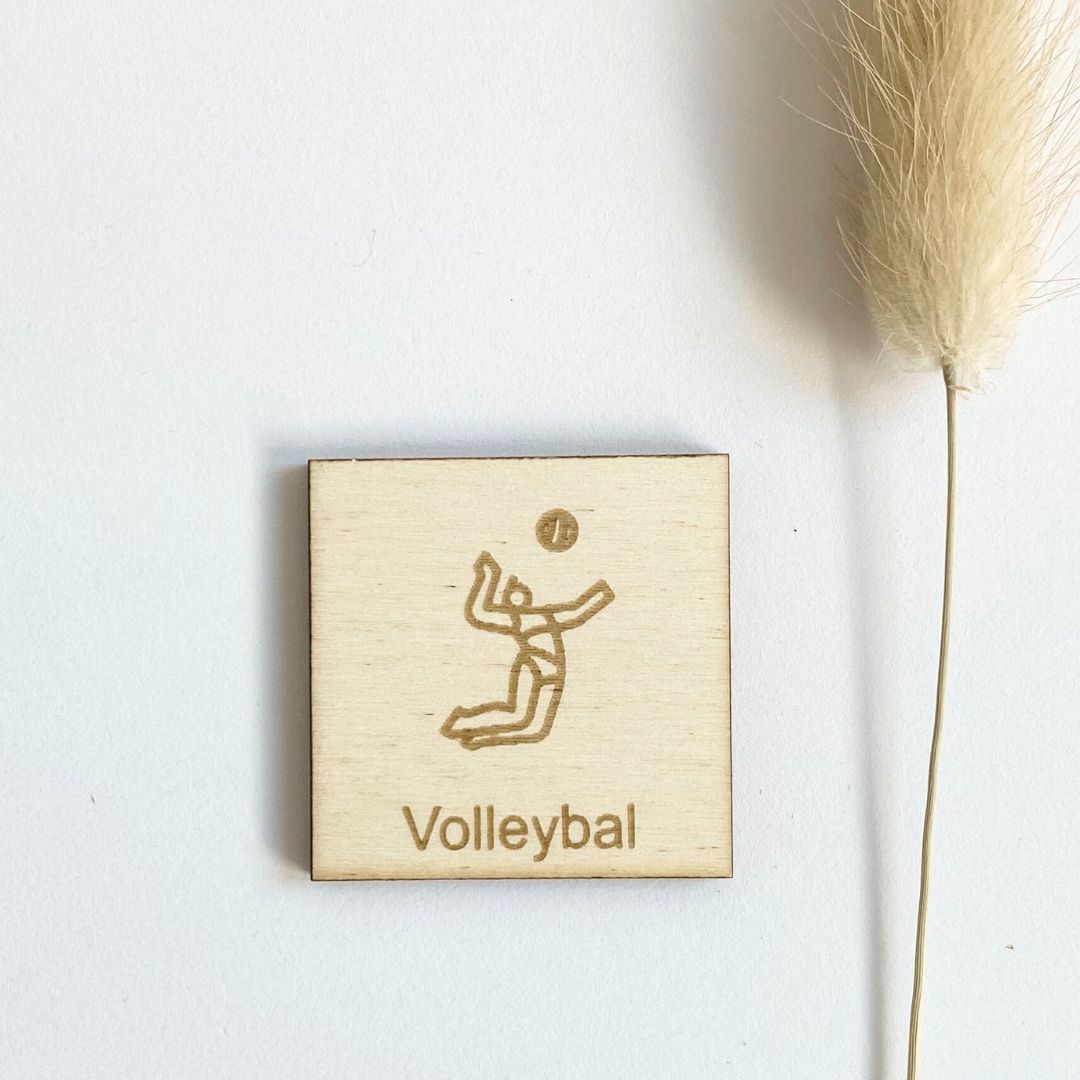 Pictogram Volleybal