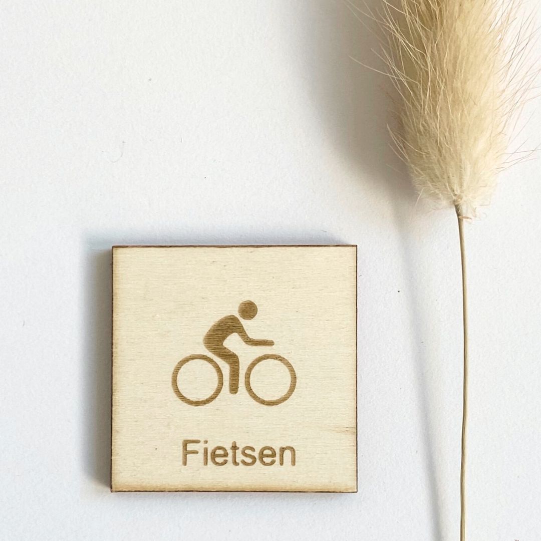 Pictogram fietsen