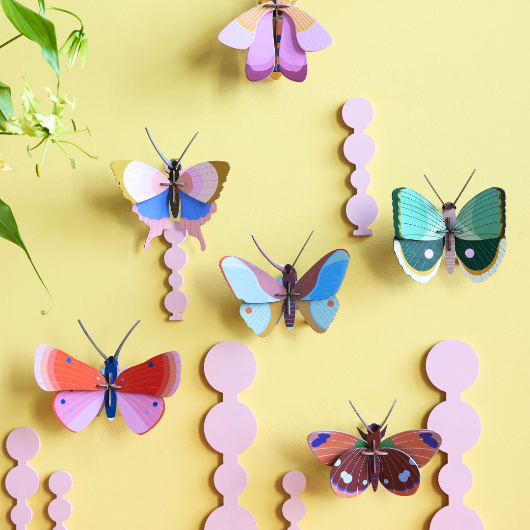 Studio ROOF Fern Striped Butterfly