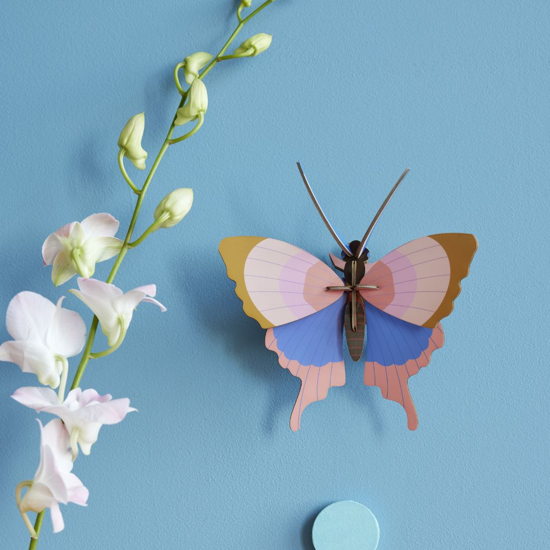 Studio ROOF Gold Rim Butterfly