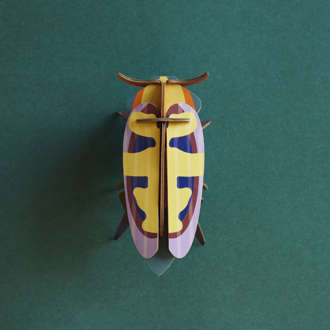 Studio ROOF Mango Flower Beetle