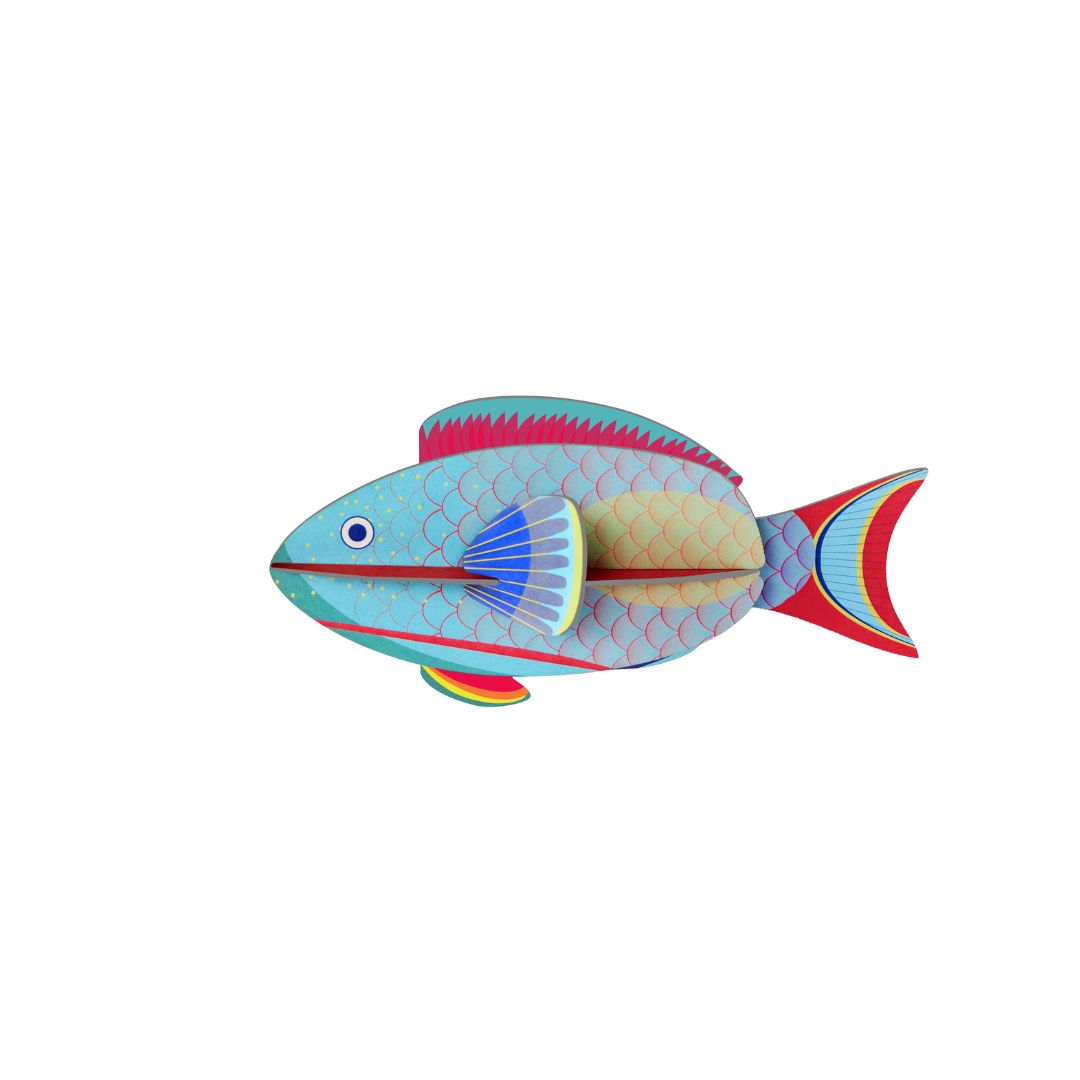 Studio ROOF Parrotfish