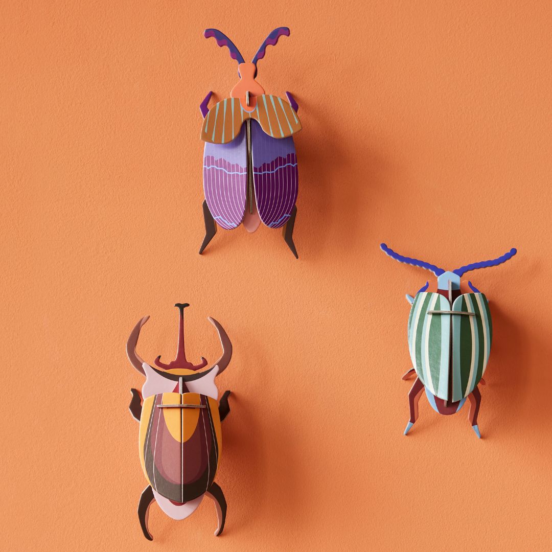 Studio ROOF Rainbow Leaf Beetle